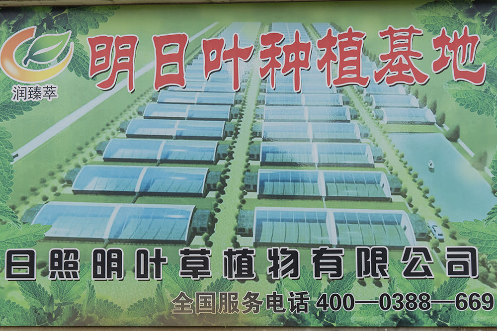 種植基地