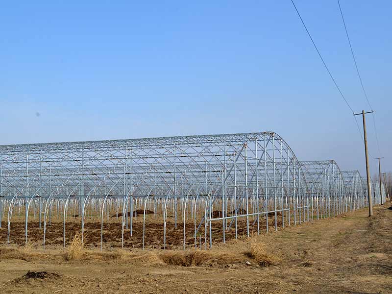 葉種植基地